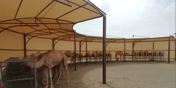 Paddock & Livestock Shades